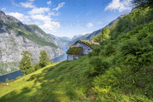 Blomberg Gård, historic mountain farm with grass roof on a steep mountainside above the Geirangerfjord, view of idyllic fjord landscape, near Geiranger, Møre og Romsdal, Norway, Europe