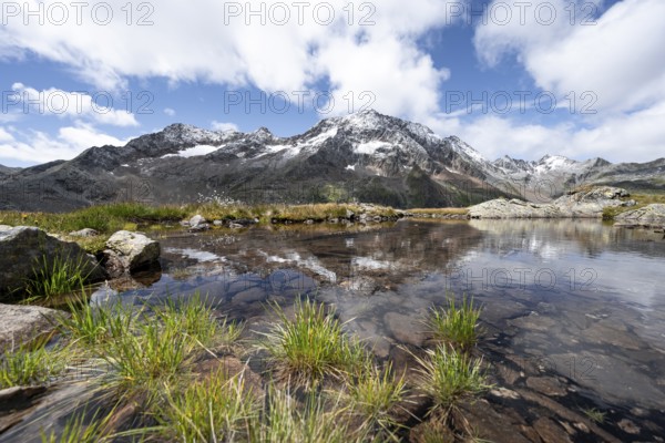 Mountain peaks reflected in a small mountain lake, Roter Knopf mountain peak, Wiener Höhenweg, Schober group, Hohe Tauern National Park, Carinthia, Austria, Europe