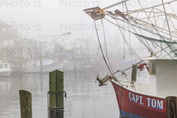 Commercial shrimp boats at the dock in the commercial area of the Biloxi Small Craft Harbor in Biloxi, Mississippi