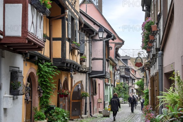 A narrow alleyway lined with traditional houses with plants and red flowers, Eguisheim, Plus beaux villages de France, Haut-Rhin, Alsace, Alsace, France, Europe