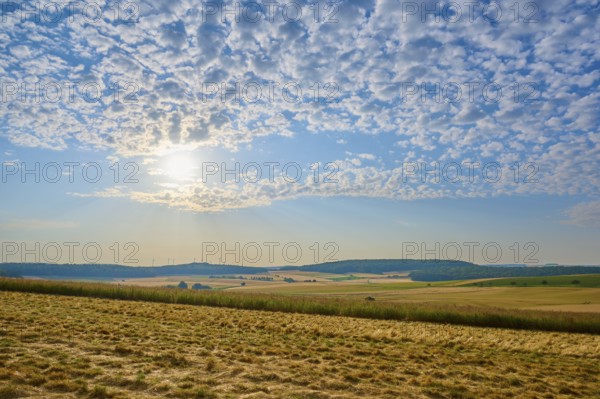 Wide fields under a slightly cloudy sky with the sun on the horizon, summer, Höhefeld, Wertheim, Baden-Württemberg, Germany, Europe