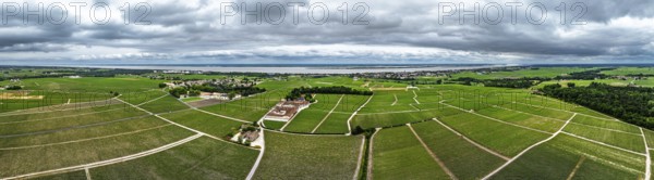Panorama of Chateau Pontet-Canet Vineyard and grape fields around Pauillac and Gironde Estuary from a drone, Bordeaux, Gironde, Nouvelle-Aquitaine, France, Europe