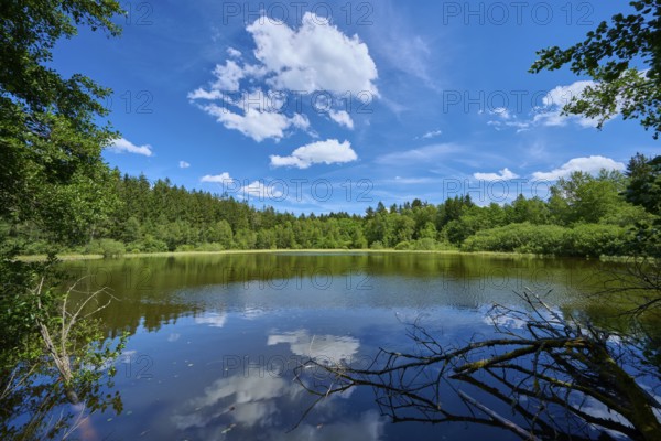 A calm lake with wooded shores and reflective sky surrounded by branches, Mülbener See, Mülben, Waldbrunn, Neckar-Odenwald-Kreis, Odenwald, Baden-Württemberg, Germany, Europe