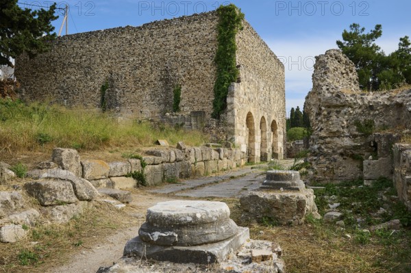 Ruins with ancient stone walls and columns left behind in overgrown surroundings, Basilica, Archaeological site, Western excavation, Kos Town, Kos, Dodecanese, Greek Islands, Greece, Europe