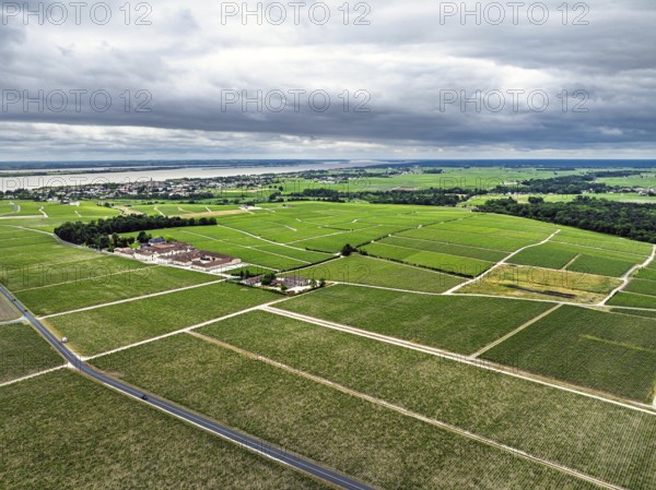 Chateau Pontet-Canet Vineyard and grape fields around Pauillac and Gironde Estuary from a drone, Bordeaux, Gironde, Nouvelle-Aquitaine, France, Europe