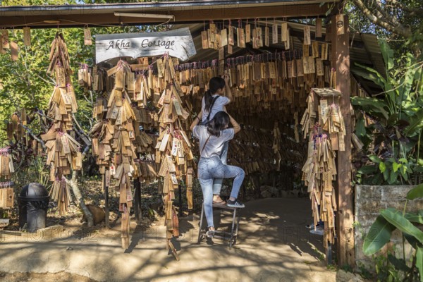 Thai women hanging their personal message plaque near the entrance to the Akha Cottage restaurant and coffee shop in Chiang Rai, Thailand, Asia
