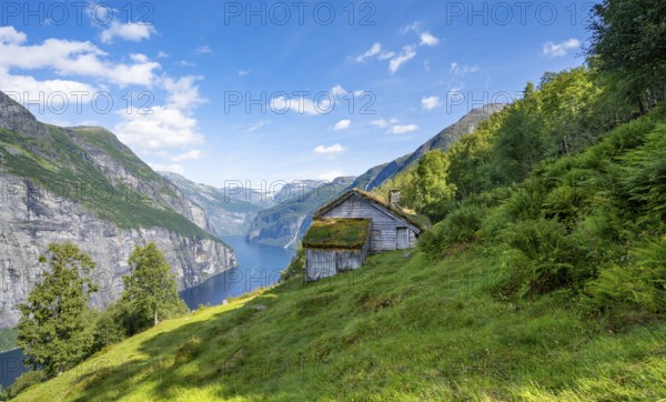 Blomberg Gård, historic mountain farm with grass roof on a steep mountainside above the Geirangerfjord, view of idyllic fjord landscape, near Geiranger, Møre og Romsdal, Norway, Europe