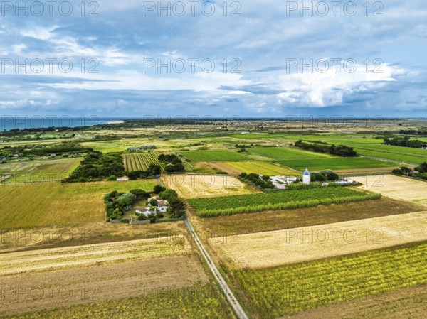 Fields and Grape plantations from a drone, Saint-Clement-des-Baleines, Atlantic, France, Europe