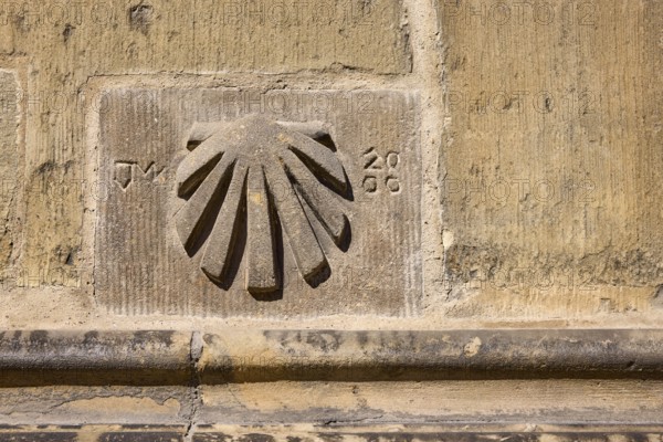 Biblical symbol, scallop shell, pilgrim, relief, Lambertikirche, church, Lambertikirchplatz, Münster, Münsterland, independent city, North Rhine-Westphalia, Germany, Europe