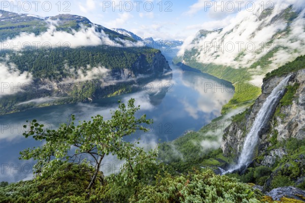 Gjerdefossen waterfall, at Ørnesvingen viewpoint, atmospheric clouds over the fjord in the morning light, at Geirangerfjord, near Geiranger, Møre og Romsdal, Norway, Europe