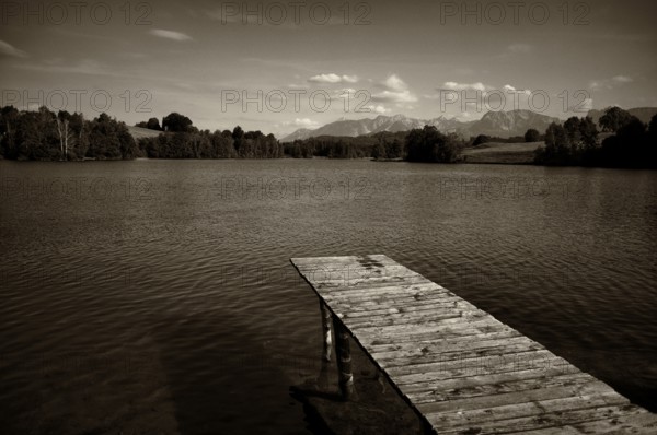 Bathing jetty, jetty, wooden jetty, jetty, leads into a lake, bathing lake, Schwaltenweiher near Seeg, vintage, black and white, Ostallgäu, Allgäu, Swabia, Bavaria, Germany, Europe