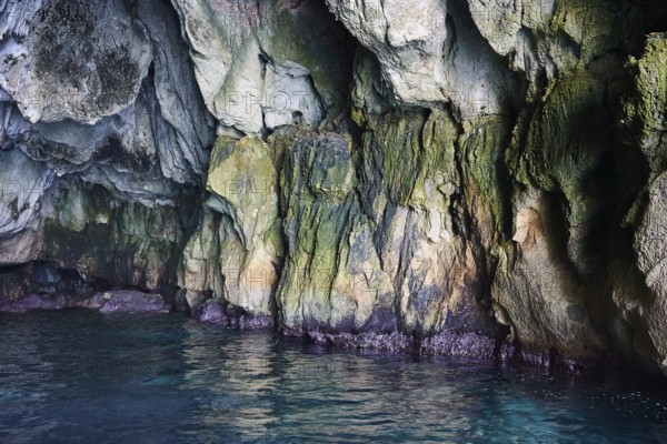 Colourful and overgrown rock walls of a grotto directly by the sea, boat trip around the island of Ortigia, Isola di Ortigia, Syracuse, Sicily, Italy, Europe