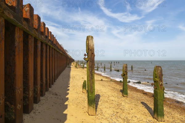 Steel sheet piling sea wall old broken wooden groynes coastal defences, Bawdsey, Suffolk, England, UK