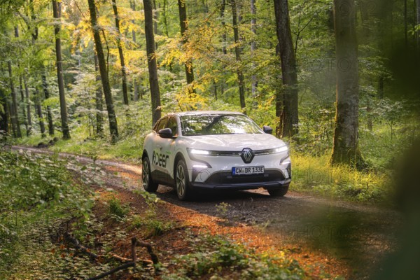 White car on a forest path in the sunlight, surrounded by tall trees, Deer E- CarSharing, Renault Megane electric car, Calw, Black Forest, Germany, Europe