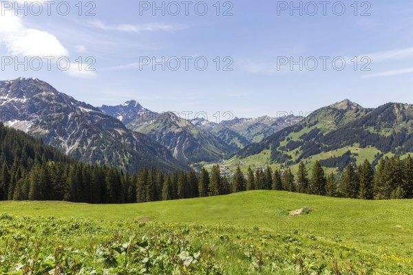 Green, expansive meadows in the Alps with gently sloping mountains in Kleinwalsertal, Austria, Europe