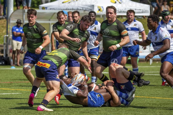 Rugby 1st Bundesliga South/West, 2024/25 season, final phase quarter-final: TSV Handschuhsheim v RC Leipzig