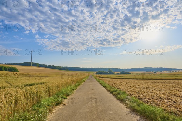 A tarmac track between fields under a sunny, cloudy sky, summer, Höhefeld, Wertheim, Baden-Württemberg, Germany, Europe
