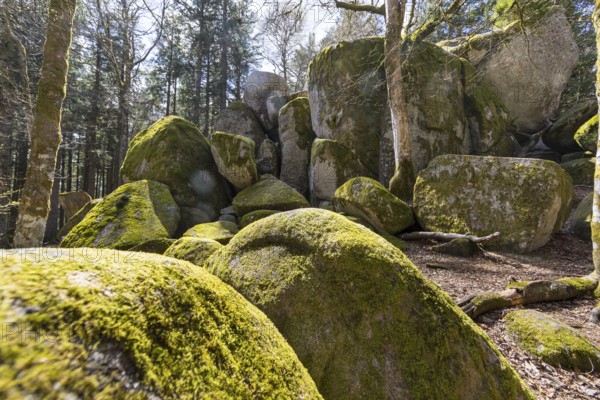 Granite rock Günterfelsen near the source of the Danube, Furtwangen in the Black Forest, Baden-Württemberg, Germany, Europe