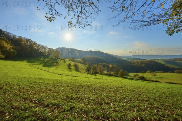 Sunlight falls on the green meadows of a hilly landscape under a clear blue sky, Vöckelsbach, Mörlenbach, Bergstrasse district, Odenwald, Hesse, Germany, Europe