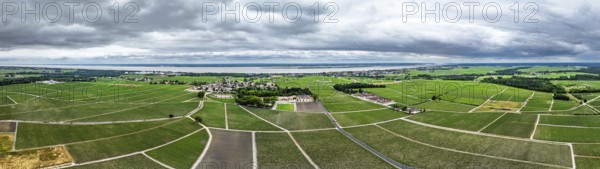 Panorama of Chateau Pontet-Canet Vineyard and grape fields around Pauillac and Gironde Estuary from a drone, Bordeaux, Gironde, Nouvelle-Aquitaine, France, Europe