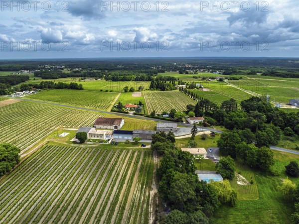 Vineyards and grape fields around Bordeaux from a drone, Saint-Mariens, Gironde, Nouvelle-Aquitaine, France, Europe
