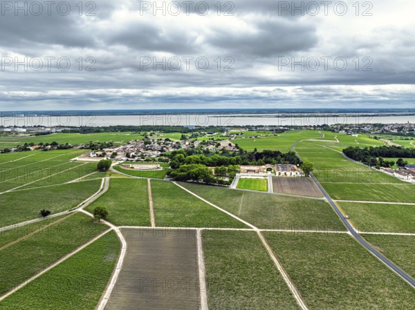 Chateau d'Armailhac Vineyard and grape fields around Pauillac and Gironde Estuary from a drone, Bordeaux, Gironde, Nouvelle-Aquitaine, France, Europe