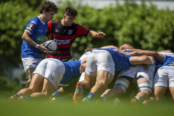 Rugby 1st Bundesliga South/West, 2024/25 season, final phase semi-final: SC Frankfurt 1880 vs SC Neuenheim