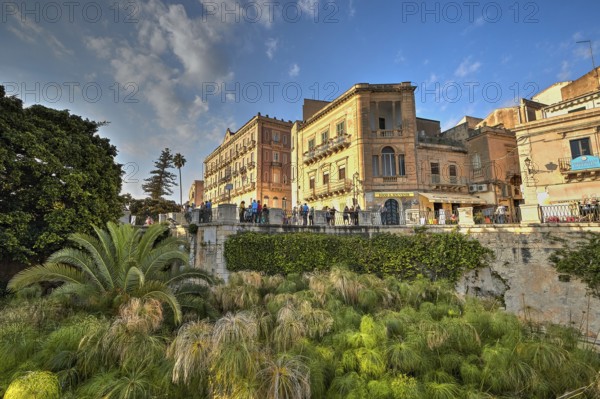 HDR, Largo Aretusa, Fonte Aretusa, Architectural scene with bridge, lush greenery and lively buildings under a clear sky, Ortigia Island, Isola di Ortigia, Historic old town, Syracuse, Sicily, Italy, Europe