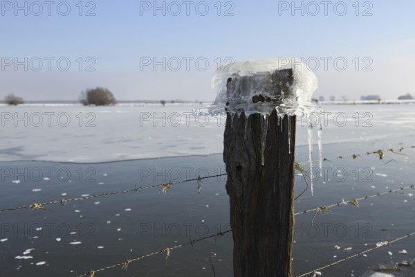 Ice cap... Ice formation (winter flood 2020, 2021), Bislicher Insel near Xanten, North Rhine-Westphalia, Germany during extreme cold for the region, weather conditions, nationally known nature reserve, Wesel district, Lower Rhine, Rhineland, Germany, Western Europe, Europe