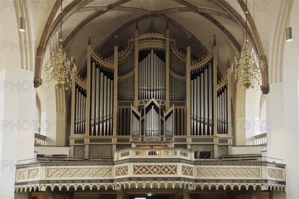 Organ of the UNESCO St. Mary's Church, interior view, town church, market square, Luther city Wittenberg, Fläming, Saxony-Anhalt, Germany, Europe