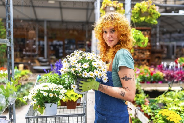 Redhead gardener woman holding a pot with white daisies in a greenhouse, gardening, small business and entrepreneurship concept