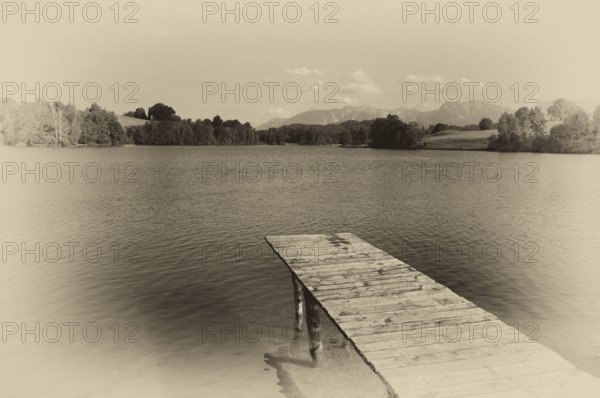 Bathing jetty, jetty, wooden jetty, jetty, leads into a lake, bathing lake, Schwaltenweiher near Seeg, vintage, black and white, Ostallgäu, Allgäu, Swabia, Bavaria, Germany, Europe