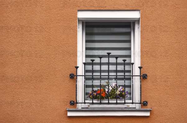The window
