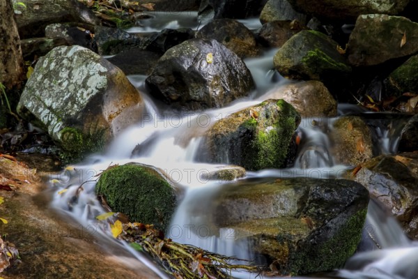 Cascade, Jourama Falls, Paluma Range National Park, Queensland, Australia, Oceania