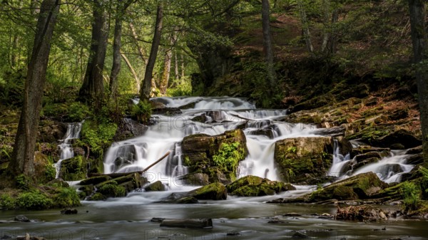 Selke Waterfall in the Harz Mountains Waterfall