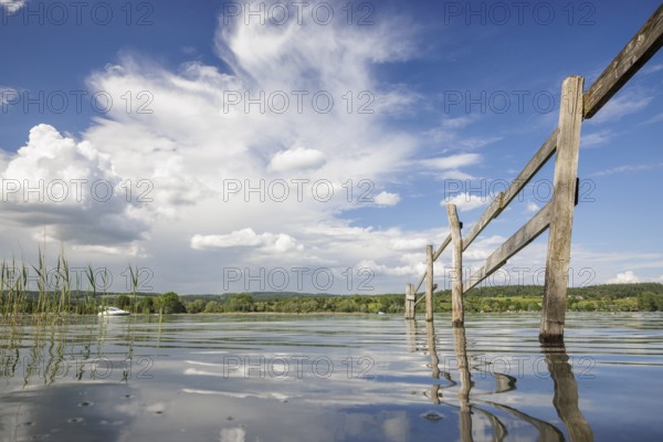A wooden fence stretches into the calm waters of a lake, surrounded by a wide sky and white clouds, Mettnau, Radolfzell, Markelfingerwinkel, Untersee, Lake Constance, Constance District, Baden-Württemberg, Germany, Europe