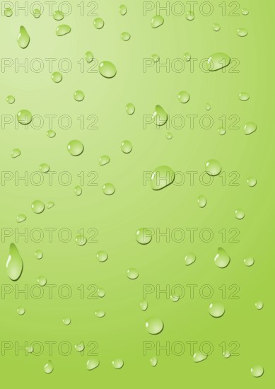 Drops on a green surface