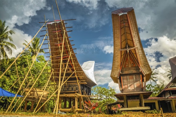 Photo of building up of wooden tongkonan, traditional ancestral house with boat-shaped roof in Lemo, Toraja region in Sulawesi, Indonesia, Asia