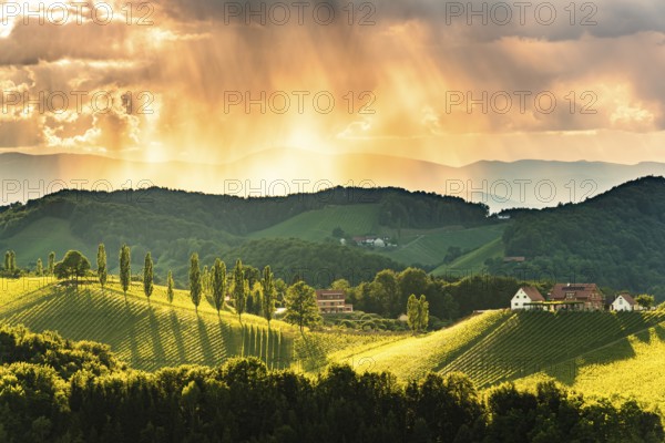 Beautiful landscape of Austrian vineyards in south Styria. Famous Tuscany like place to visit. Scenic view of idyllic Travel destination