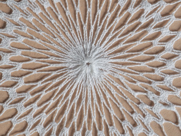 White fabric doily