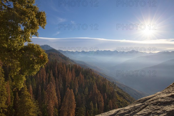 Autumn sunrise over redwood trees at Moro Rock in Sequoia National Park, California, USA, North America