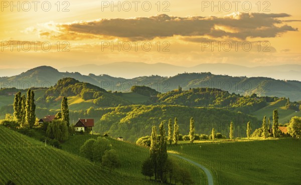 South styria vineyards landscape, near Gamlitz, Austria, Europe. Grape hills view from wine road in spring, Europe