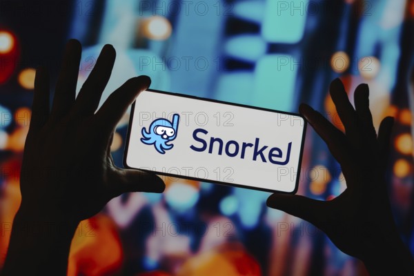 In this photo illustration, the Snorkel AI logo is displayed on a smartphone screen