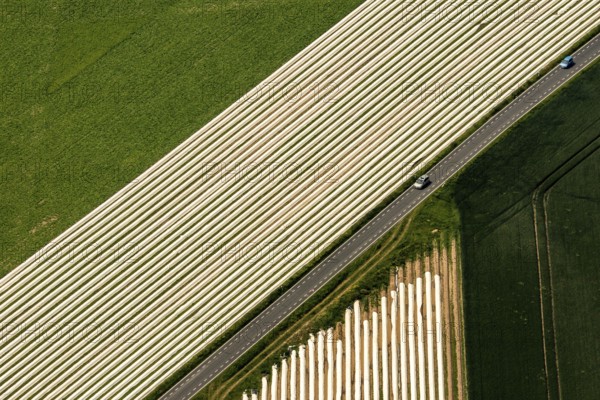 Spagel fields on the Lower Rhine