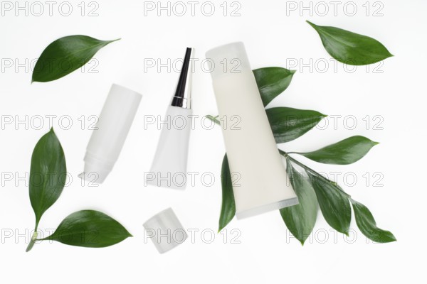 Flat lay view at white cosmetic bottles and containers with green leaves on white table