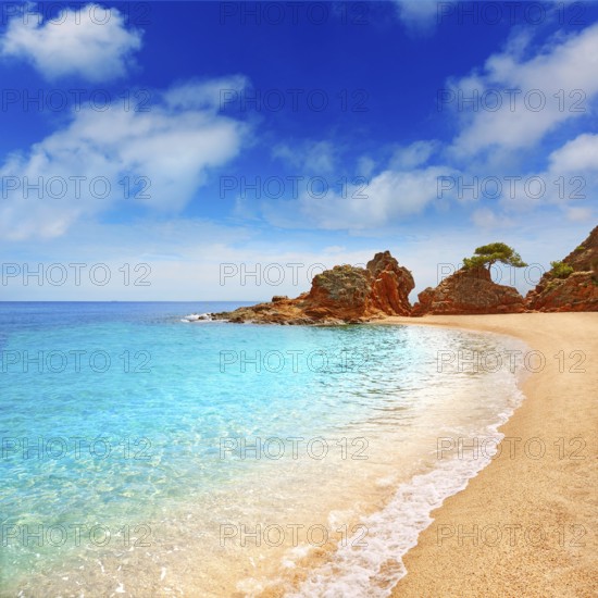 Platja Fenals Fanals Beach in Lloret de Mar at Costa Brava of Catalonia Girona Spain