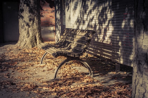 An empty park bench surrounded by autumn leaves, casting shadows and radiating silence, On the streets of Weimar