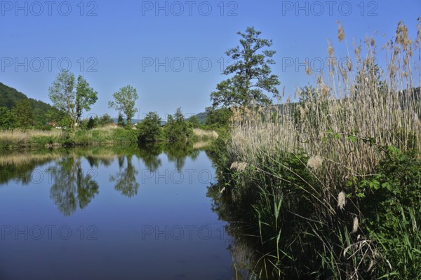 Altmühltal nature park, the Altmühl near Beilngries, Upper Bavaria, Germany, Altmühltal nature park, the Altmühl near Beilngries, Upper Bavaria, Germany, Europe