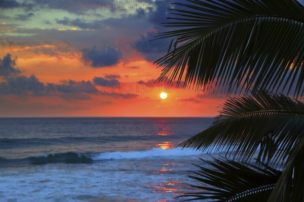 Beautiful sea sunset and palm leaves on foreground