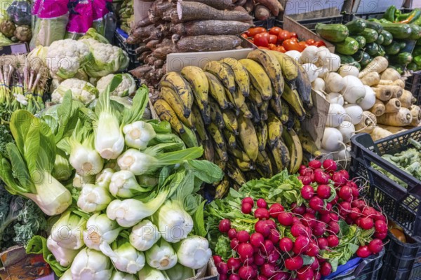 Large selection of fresh vegetables at a market stall
